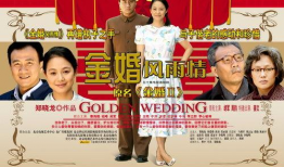 金婚风雨情电视剧全集,岁月如歌，相伴一生