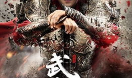 武动乾坤电视剧,热血征程，少年英雄的成长传奇